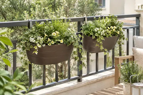 Deux pots suspendus en plastique café, garnis de petites plantes et accrochés à une clôture de balcon
