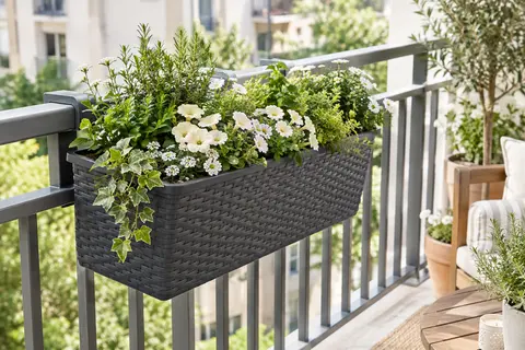 Jardinière anthracite à effet polyrotin fixée à une rambarde de balcon et garnie de fleurs