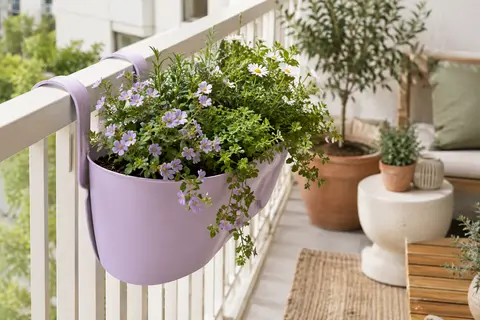 Jardinière à crochets mauve fixée à une rambarde de balcon et garnie de fleurs et de feuillage.