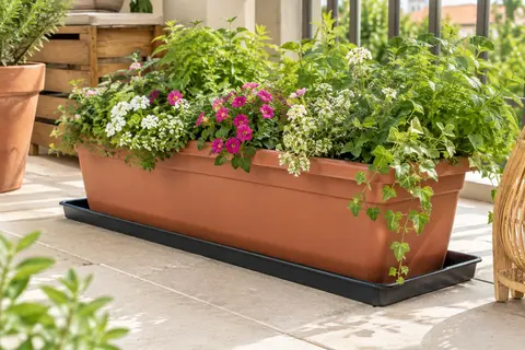 Soucoupe noire allongée en plastique sous une jardinière fleurie, posée sur le sol clair d’un balcon.