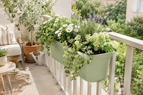 Jardinière Elho vert pistache suspendue à une rambarde de balcon et garnie de fleurs et de feuillages.