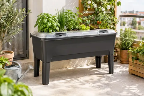 Jardinière surélevée anthracite avec couvercle ventilé, garnie de jeunes plants sur un balcon lumineux