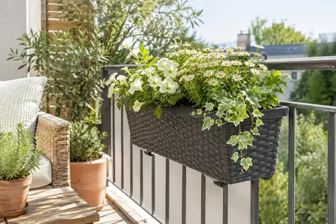 Jardinière de balcon anthracite à aspect rotin, suspendue à une rambarde et garnie de fleurs et de feuillages.