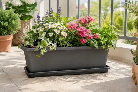 Jardinière rectangulaire en plastique avec soucoupe, garnie de fleurs sur un balcon lumineux